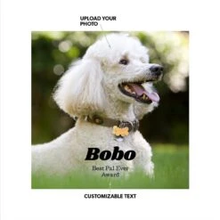 Frisco -Frisco 271227 PT1. AC SS1800 V1619445421