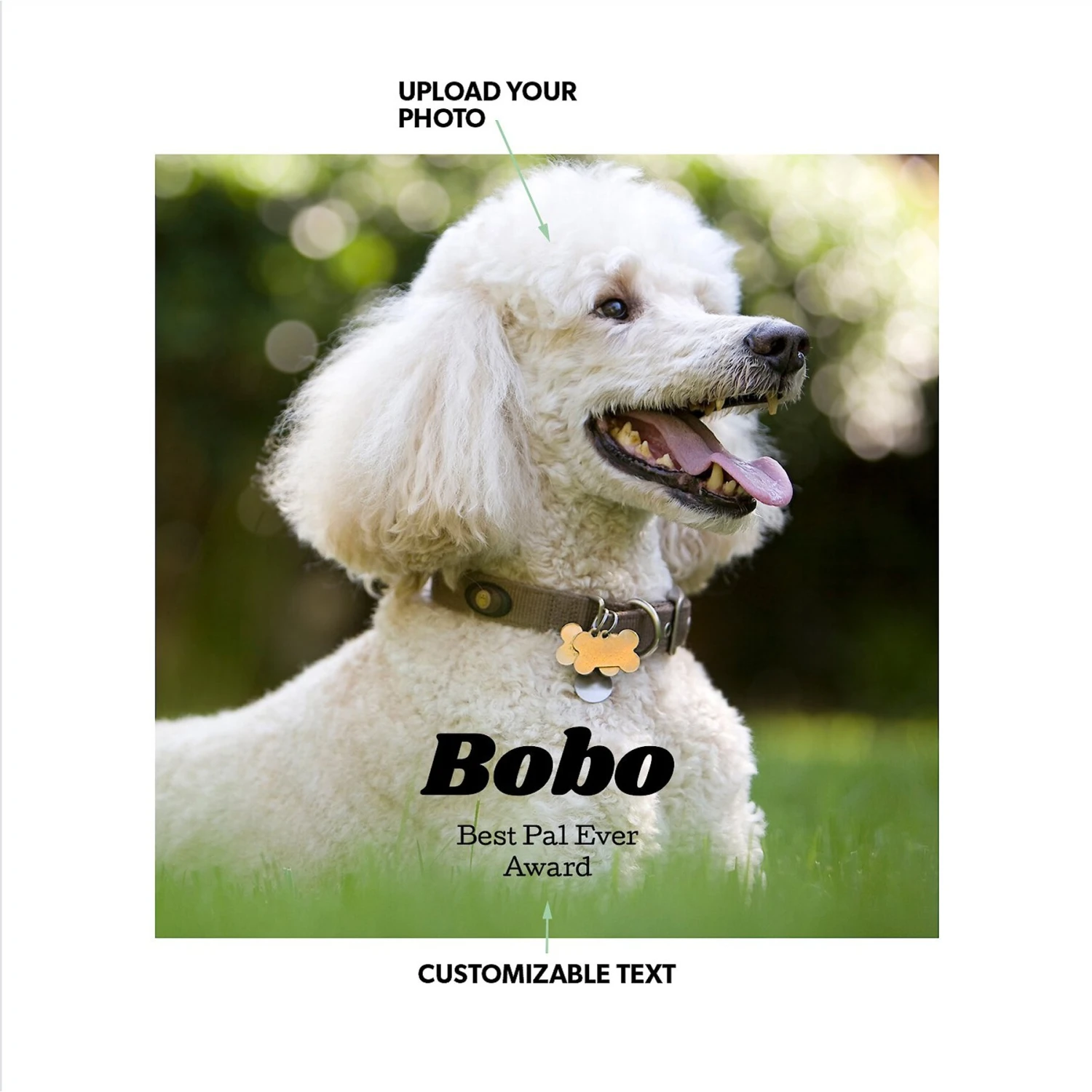 Frisco Personalized Basic Ceramic Photo Tile With Stand 3 Frisco Personalized Basic Ceramic Photo Tile With Stand - Image 2