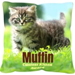 Frisco Personalized Basic Throw Pillow, 16" X 16" 7 Frisco Personalized Basic Throw Pillow, 16" X 16" -Frisco 271237 PT2. AC SS1800 V1620405726