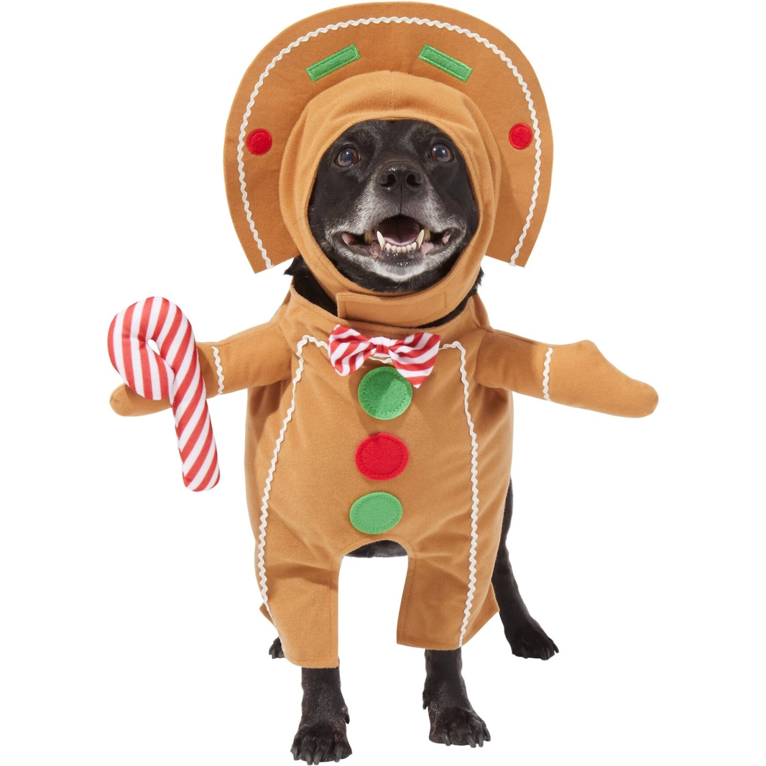 Frisco Front Walking Gingerbread Dog & Cat Costume 3 Frisco Front Walking Gingerbread Dog & Cat Costume