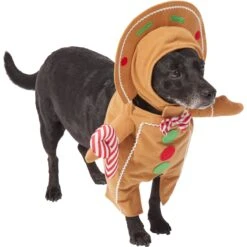 Frisco Front Walking Gingerbread Dog & Cat Costume 12 Frisco Front Walking Gingerbread Dog & Cat Costume -Frisco 276156 PT3. AC SS1800 V1631660334