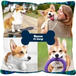 Frisco 13 Frisco "Contemporary #2" Throw Pillow 16 X 16