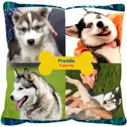 Frisco "Contemporary #2" Throw Pillow 16 X 16 7 Frisco "Contemporary #2" Throw Pillow 16 X 16 -Frisco 276901 PT2. AC SS1800 V1625686286