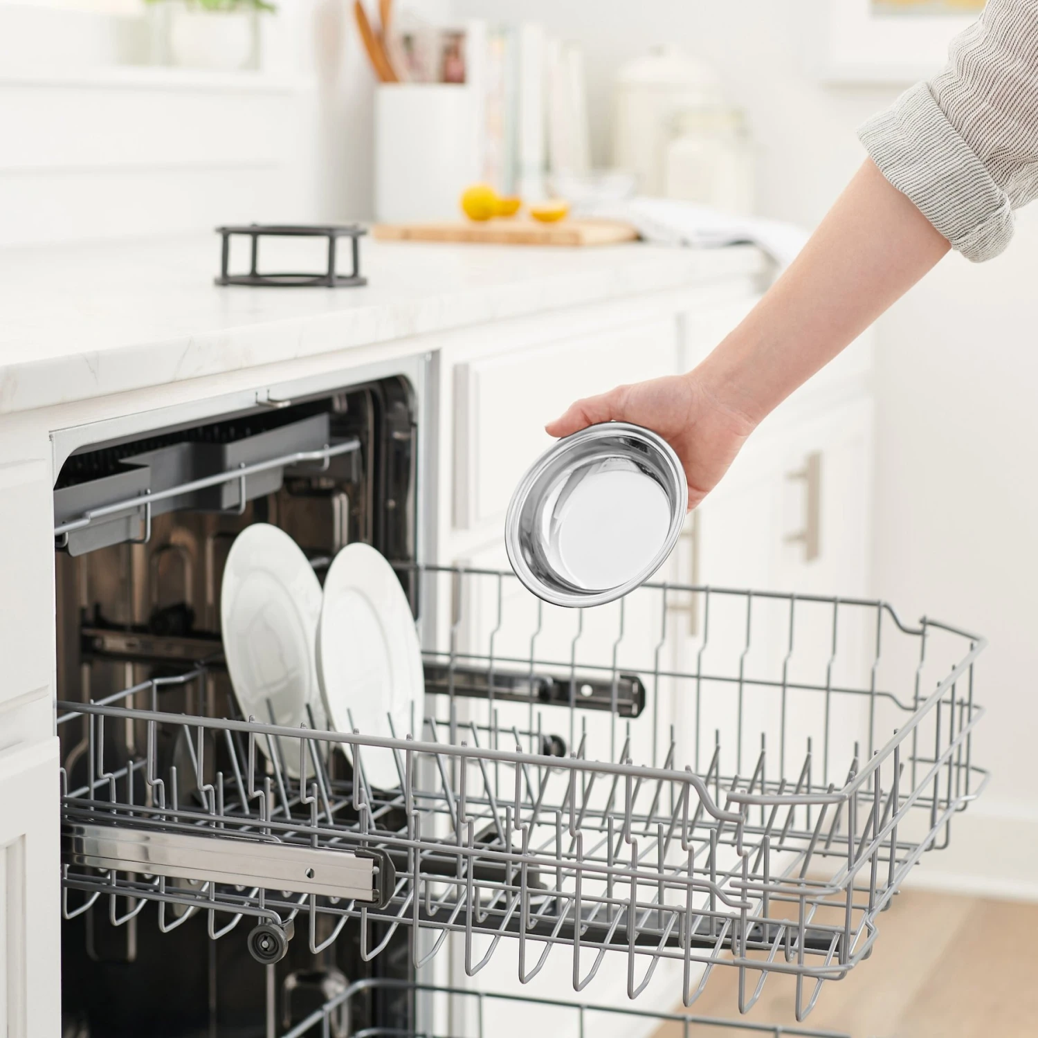 Frisco Elevated Stainless Steel Dish Cat Bowl, 1 Cup 9 Frisco Elevated Stainless Steel Dish Cat Bowl, 1 Cup - Image 7