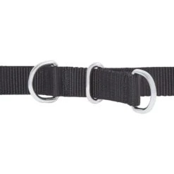 Frisco Basic No Pull Harness 9 Frisco Basic No Pull Harness -Frisco 277873 PT2. AC SS1800 V1629760100