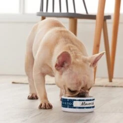 Frisco Personalized Mudcloth Small Dog & Cat Bowl 9 Frisco Personalized Mudcloth Small Dog & Cat Bowl -Frisco 278936 PT3. AC SS1800 V1629147692