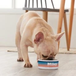 Frisco Personalized Watercolor Small Dog & Cat Bowl 9 Frisco Personalized Watercolor Small Dog & Cat Bowl -Frisco 278944 PT3. AC SS1800 V1629147733