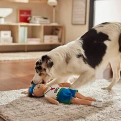 Frisco Gym Teacher Plush Squeaky Dog Toy 7 Frisco Gym Teacher Plush Squeaky Dog Toy -Frisco 279447 PT3. AC SS1800 V1628191161