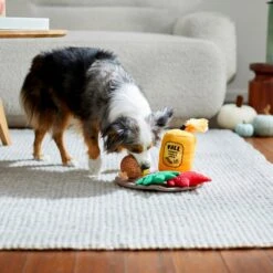 Frisco Fall Festive Candle Charger Plush Squeaky Dog Toy, 4 Count 7 Frisco Fall Festive Candle Charger Plush Squeaky Dog Toy, 4 Count -Frisco 285615 PT3. AC SS1800 V1629725135