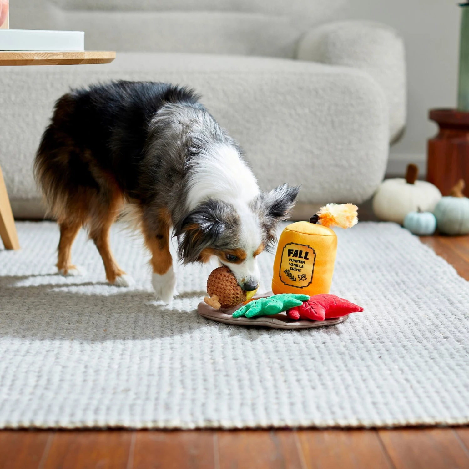 Frisco Fall Festive Candle Charger Plush Squeaky Dog Toy, 4 Count 5 Frisco Fall Festive Candle Charger Plush Squeaky Dog Toy, 4 Count - Image 3