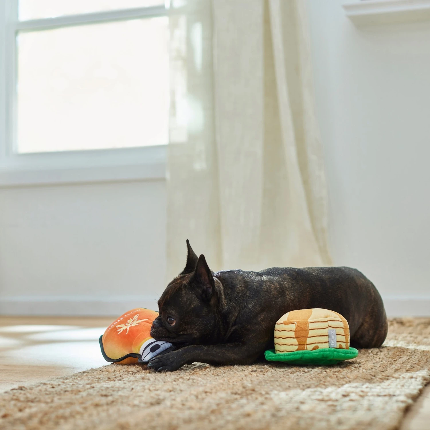 Frisco Fall Pancakes & Maple Syrup Plush Squeaky Dog Toy, 2 Count 5 Frisco Fall Pancakes & Maple Syrup Plush Squeaky Dog Toy, 2 Count - Image 3