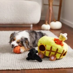 Frisco Fall Hay Wagon Hide & Seek Puzzle Plush Squeaky Dog Toy 9 Frisco Fall Hay Wagon Hide & Seek Puzzle Plush Squeaky Dog Toy -Frisco 285631 PT3. AC SS1800 V1629724940