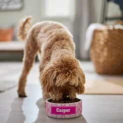 Frisco Personalized Plaid Ceramic Dog Bowl 11 Frisco Personalized Plaid Ceramic Dog Bowl -Frisco 287013 PT4. AC SS1800 V1639518088