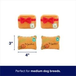 Frisco Holiday North Pole Mailbox Hide & Seek Puzzle Plush Squeaky Dog Toy 10 Frisco Holiday North Pole Mailbox Hide & Seek Puzzle Plush Squeaky Dog Toy -Frisco 287095 PT2. AC SS1800 V1695043914