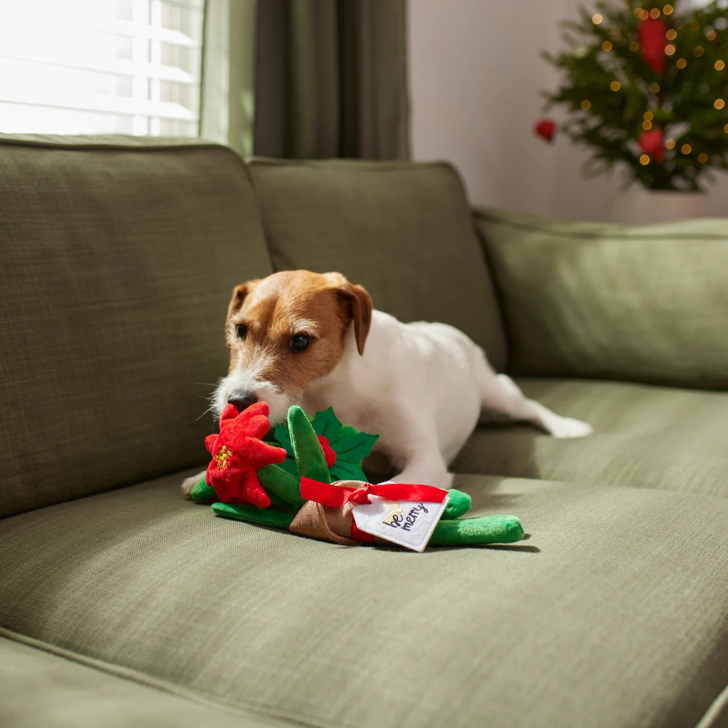 Frisco Flower Bouquet Plush Squeaky Dog Toy 5 Frisco Flower Bouquet Plush Squeaky Dog Toy - Image 3