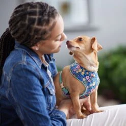 Frisco Fashion Over-The-Head Harness, Tropical Floral 11 Frisco Fashion Over-The-Head Harness, Tropical Floral -Frisco 287476 PT8. AC SS1800 V1632316953