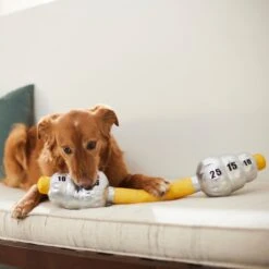 Frisco Weight Bar Wagazoo Plush Squeaky Dog Toy 7 Frisco Weight Bar Wagazoo Plush Squeaky Dog Toy -Frisco 288917 PT3. AC SS1800 V1638292413