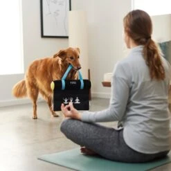 Frisco Yoga Mat Plush Squeaky Dog Toy 7 Frisco Yoga Mat Plush Squeaky Dog Toy -Frisco 288923 PT3. AC SS1800 V1638290551