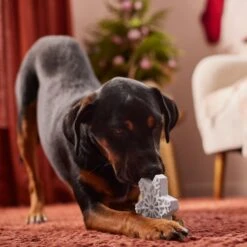 Frisco Holiday Nylon Snowflake Dog Chew Toy, Peanut Butter Flavor, Medium 9 Frisco Holiday Nylon Snowflake Dog Chew Toy, Peanut Butter Flavor, Medium -Frisco 291387 PT3. AC SS1800 V1629306692