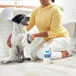 Frisco Deodorizing Paw & Bum Waterless Grooming Wipes For Dogs & Cats 12 Frisco Deodorizing Paw & Bum Waterless Grooming Wipes For Dogs & Cats -Frisco 291593 PT4. AC SS1800 V1627654025