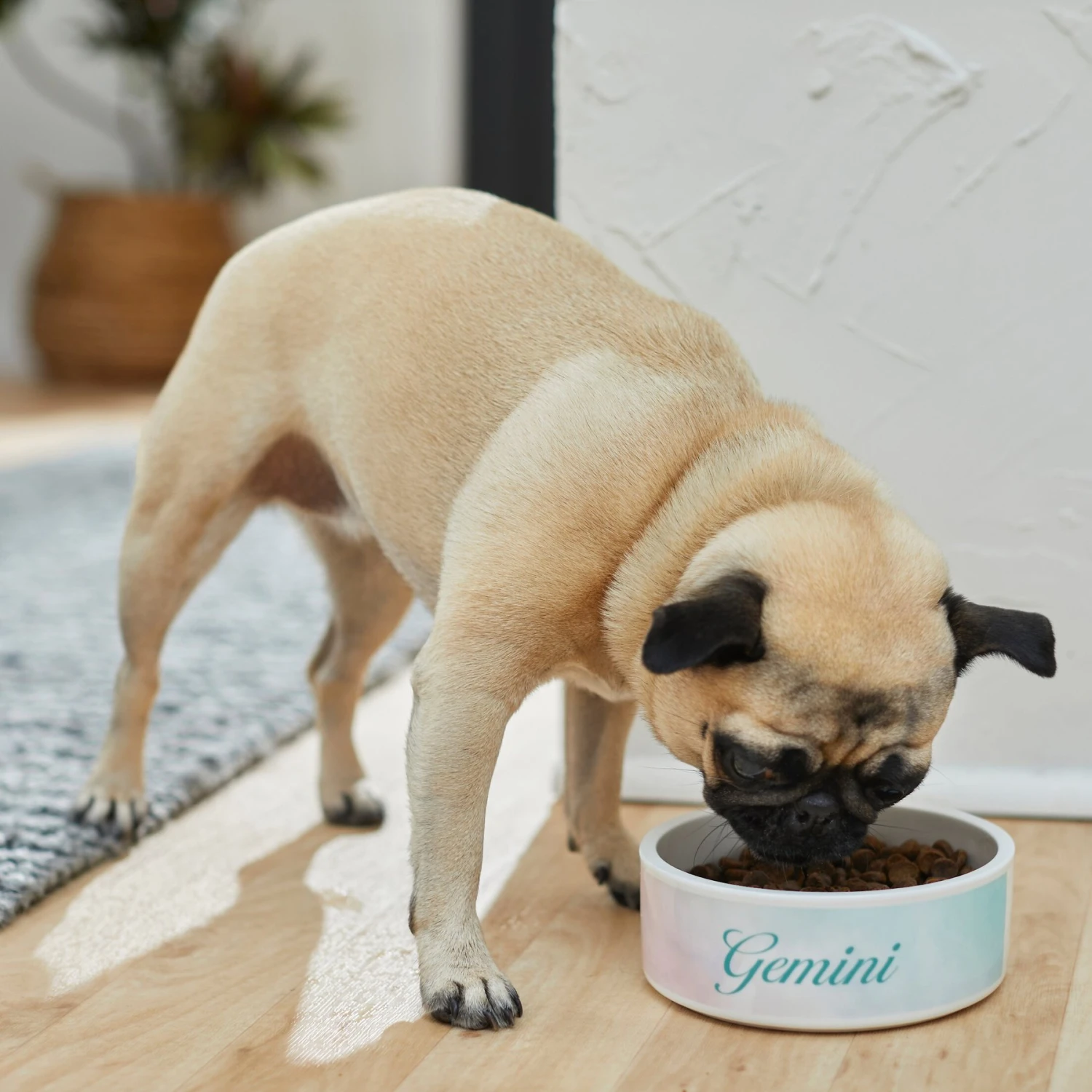 Frisco Watercolors Ceramic Personalized Dog Bowl 5 Frisco Watercolors Ceramic Personalized Dog Bowl - Image 3