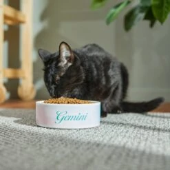 Frisco Watercolors Ceramic Personalized Dog Bowl 12 Frisco Watercolors Ceramic Personalized Dog Bowl -Frisco 296664 PT3. AC SS1800 V1625764646