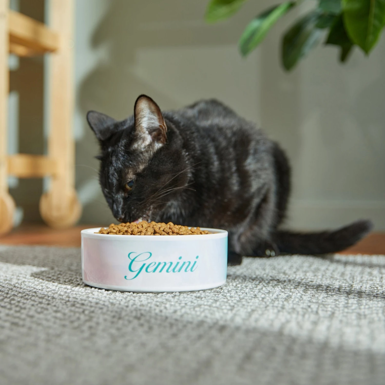 Frisco Watercolors Ceramic Personalized Dog Bowl 6 Frisco Watercolors Ceramic Personalized Dog Bowl - Image 4