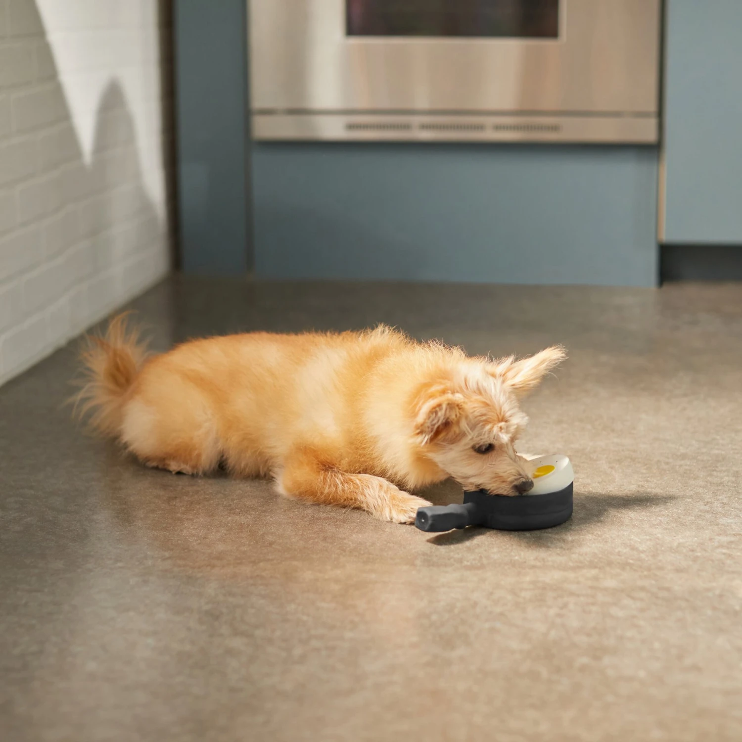 Frisco Brunch Breakfast Skillet Latex Squeaky Dog Toy, 2 Count 5 Frisco Brunch Breakfast Skillet Latex Squeaky Dog Toy, 2 Count - Image 3