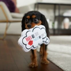 Frisco Valentine Be My Valentine Thought Bubble Reversible Plush Squeaky Dog Toy 10 Frisco Valentine Be My Valentine Thought Bubble Reversible Plush Squeaky Dog Toy -Frisco 298947 PT3. AC SS1800 V1638987445