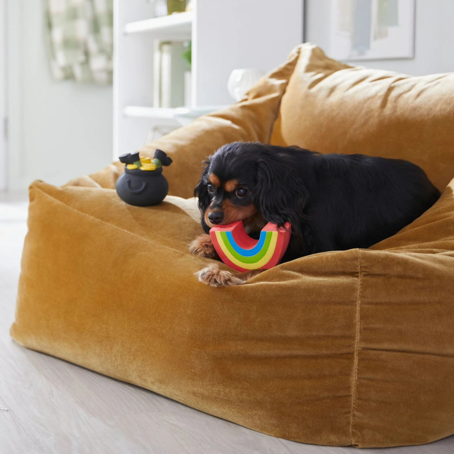 Frisco St. Patrick's Rainbow And Pot Of Gold Latex Squeaky Dog Toy 6 Frisco St. Patrick's Rainbow And Pot Of Gold Latex Squeaky Dog Toy - Image 4