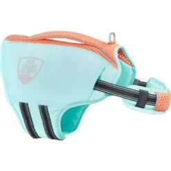 Frisco Active Dog Life Jacket & Frisco Foam Rubber Floating Fetch Ball No Squeak Dog Toy 13 Frisco Active Dog Life Jacket & Frisco Foam Rubber Floating Fetch Ball No Squeak Dog Toy -Frisco 303364 PT2. AC SS1800 V1623163059