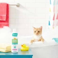 Frisco Aloe Hydrating Dog & Cat Spray, Sweet Nectar Scent & Frisco Oatmeal Dog & Cat Shampoo, Almond Scent 19 Frisco Aloe Hydrating Dog & Cat Spray, Sweet Nectar Scent & Frisco Oatmeal Dog & Cat Shampoo, Almond Scent -Frisco 303372 PT8. AC SS1800 V1623070966