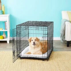 Frisco Fold & Carry Single Door Collapsible Wire Dog Crate & Frisco Premium Extra Large Printed Dog Training & Potty Pads 15 Frisco Fold & Carry Single Door Collapsible Wire Dog Crate & Frisco Premium Extra Large Printed Dog Training & Potty Pads -Frisco 303438 PT4. AC SS1800 V1623088347