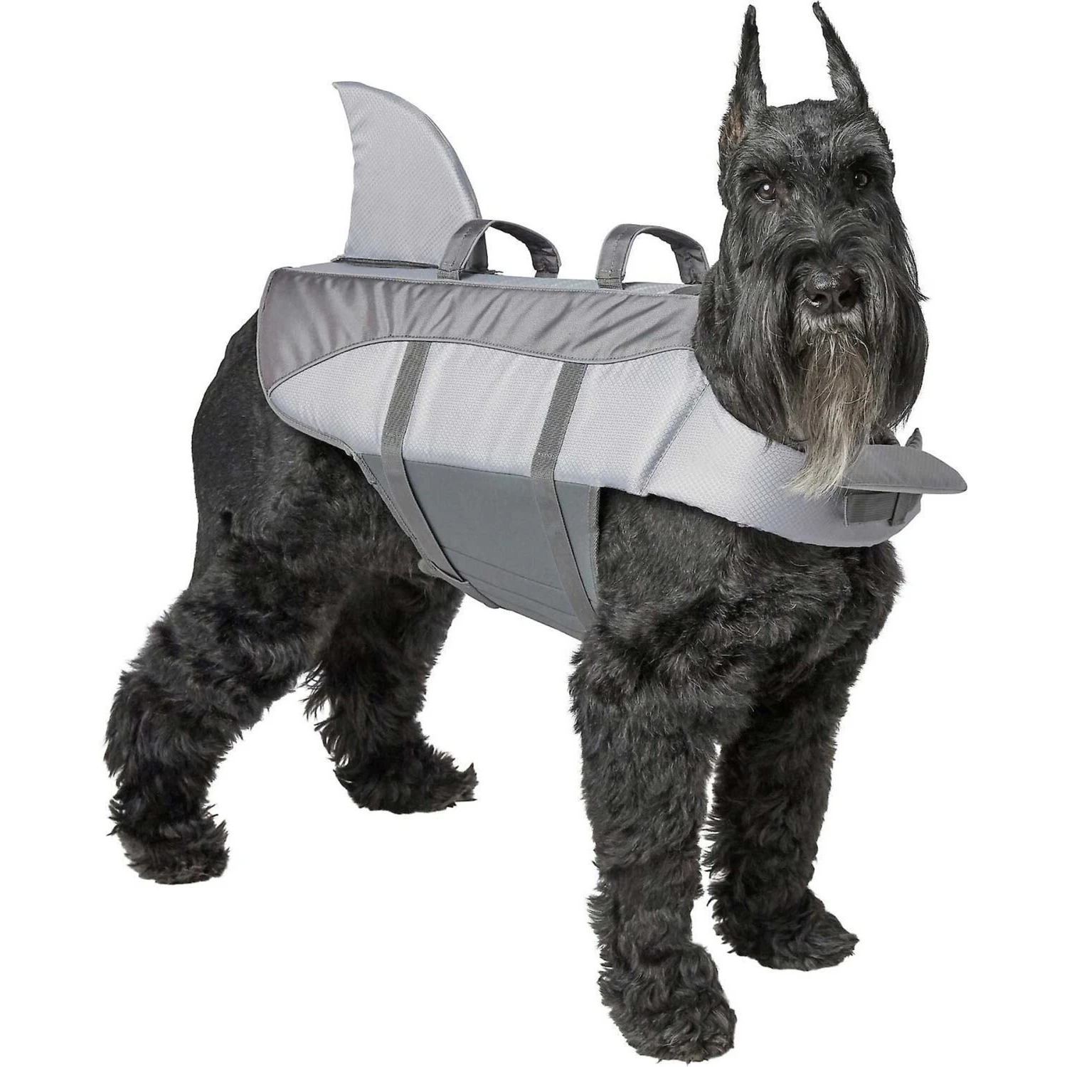 Frisco Shark Dog Life Jacket & Frisco Foam Rubber Floating Fetch Ball No Squeak Dog Toy 4 Frisco Shark Dog Life Jacket & Frisco Foam Rubber Floating Fetch Ball No Squeak Dog Toy - Image 2