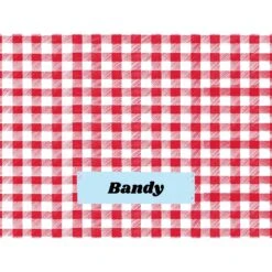 Frisco Personalized Gingham Plaid Soft Fleece Cat & Dog Blanket, 30" X 40" 12 Frisco Personalized Gingham Plaid Soft Fleece Cat & Dog Blanket, 30" X 40" -Frisco 304001 PT4. AC SS1800 V1637609279