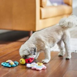 Frisco Spring Pack Plush Squeaky Dog Toy 10 Frisco Spring Pack Plush Squeaky Dog Toy -Frisco 304950 PT4. AC SS1800 V1703184715