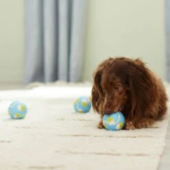 Frisco Easter Fetch Squeaky Tennis Ball Dog Toy, Medium, 3 Count 10 Frisco Easter Fetch Squeaky Tennis Ball Dog Toy, Medium, 3 Count -Frisco 304964 PT4. AC SS1800 V1703184745