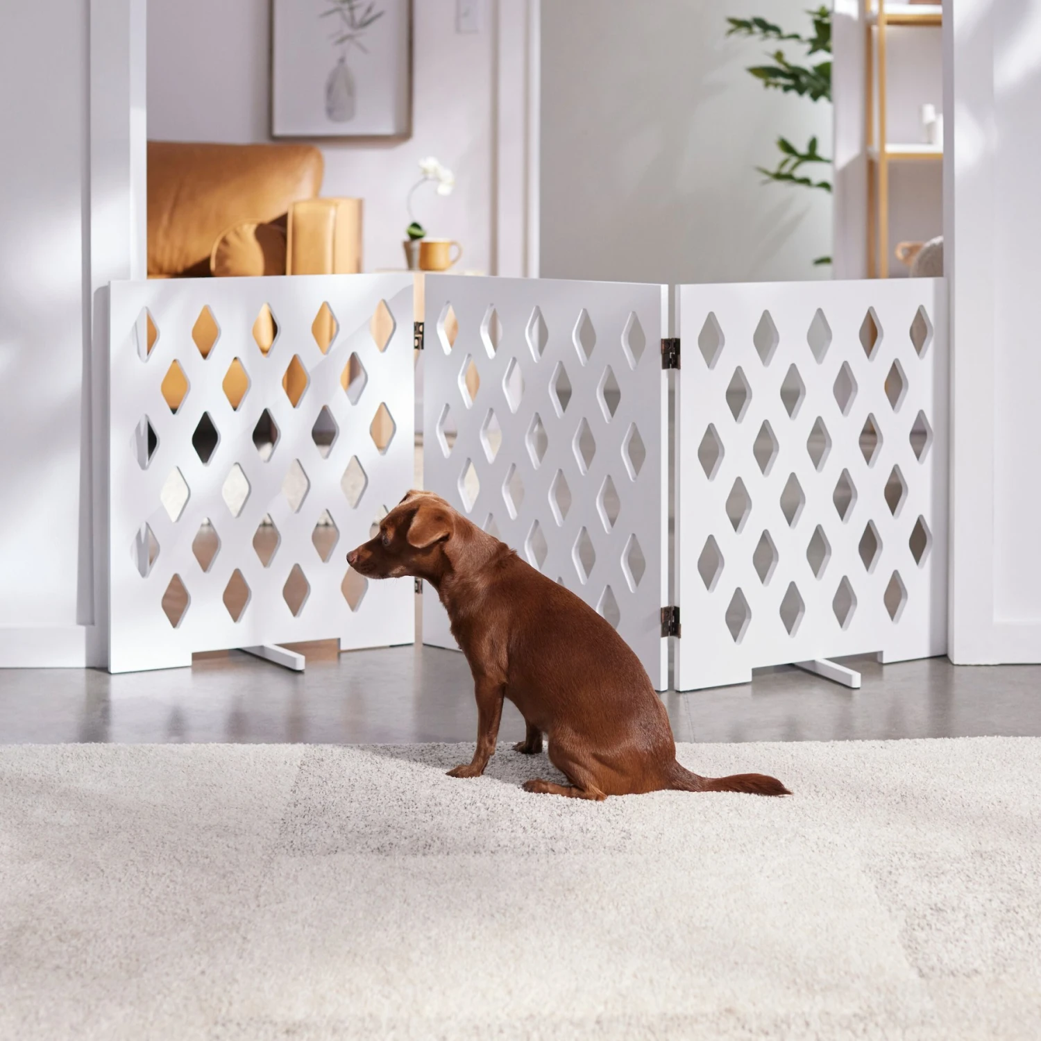 Frisco Deco Diamond Shape 3-Panel Dog Gate 3 Frisco Deco Diamond Shape 3-Panel Dog Gate