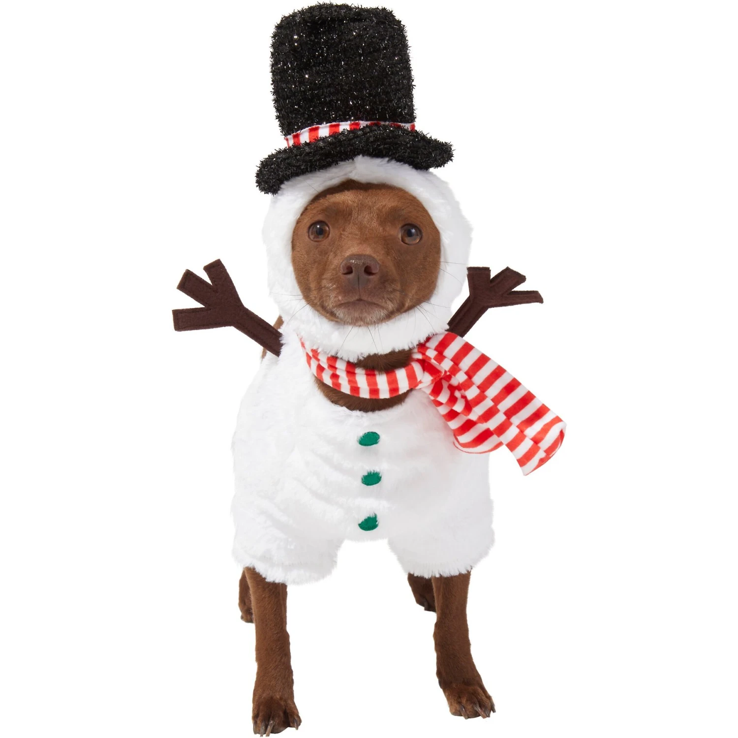 Frisco Front Walking Snowman Dog & Cat Costume 3 Frisco Front Walking Snowman Dog & Cat Costume