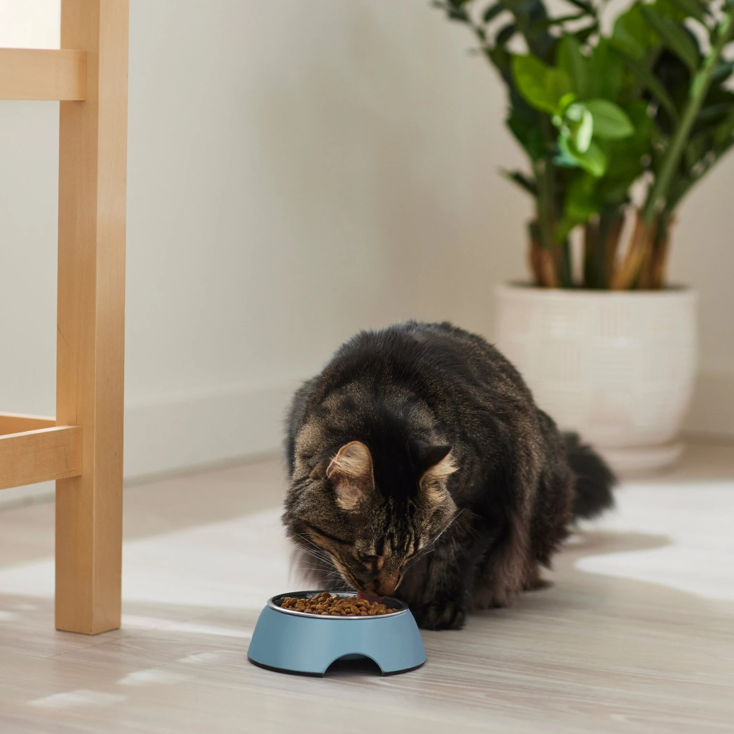 Frisco Coral Design Stainless Steel Dog & Cat Bowl 6 Frisco Coral Design Stainless Steel Dog & Cat Bowl - Image 4