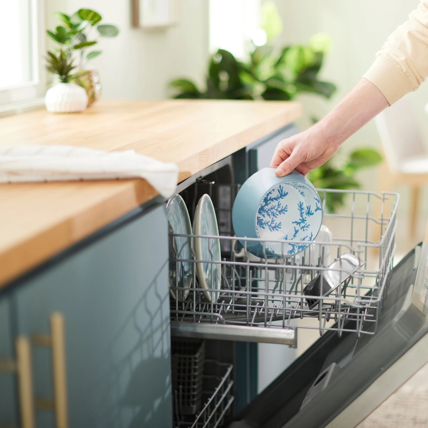 Frisco Coral Design Stainless Steel Dog & Cat Bowl 10 Frisco Coral Design Stainless Steel Dog & Cat Bowl - Image 8