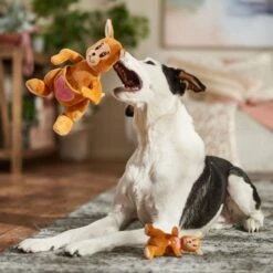 Frisco Valentine Kangaroo & Joey Plush Squeaky Dog Toy 10 Frisco Valentine Kangaroo & Joey Plush Squeaky Dog Toy -Frisco 312899 PT3. AC SS1800 V1701364918