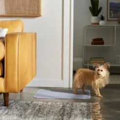 Frisco Washable Dog Potty Pads 10 Frisco Washable Dog Potty Pads -Frisco 315712 PT3. AC SS1800 V1644880410