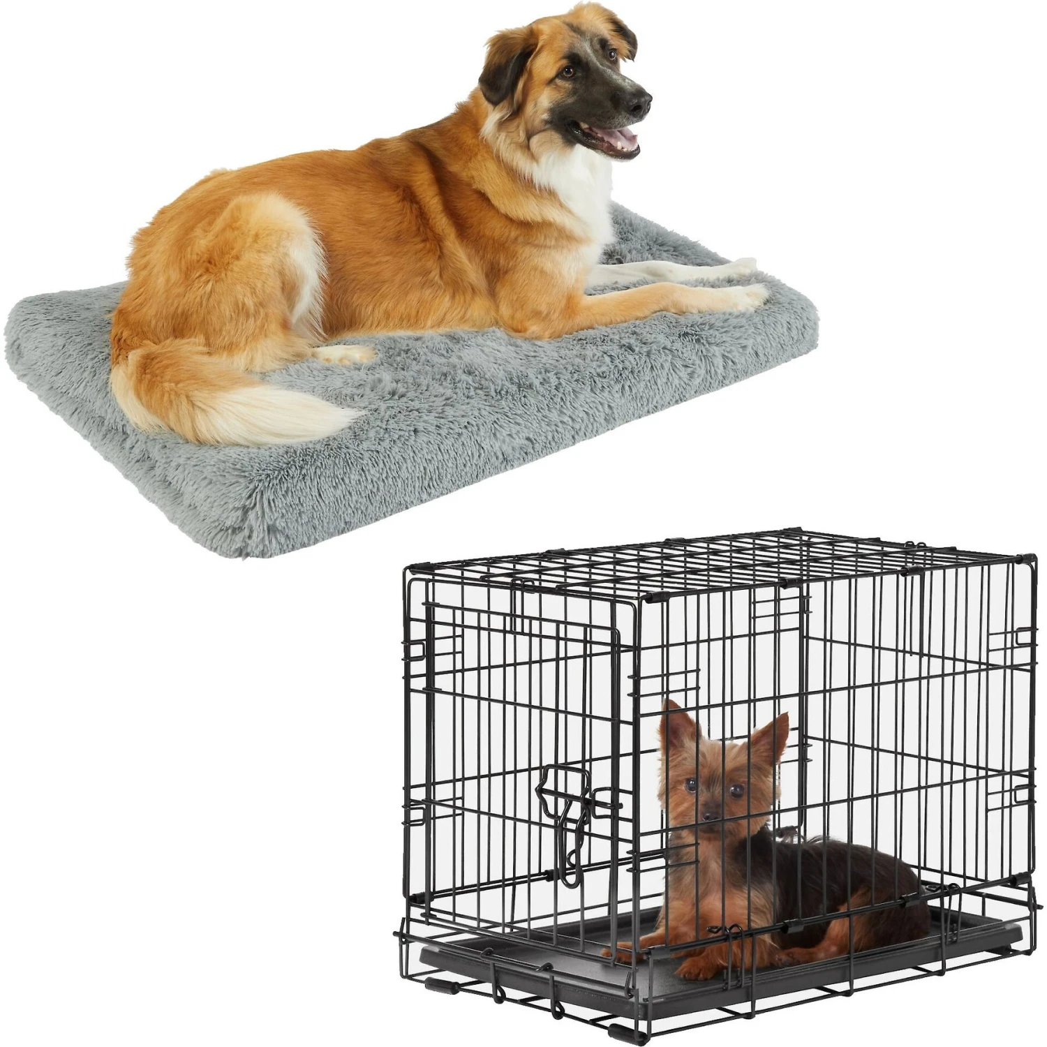 Frisco Eyelash Orthopedic Dog Crate Mat & Frisco Fold & Carry Single Door Collapsible Wire Dog Crate 3 Frisco Eyelash Orthopedic Dog Crate Mat & Frisco Fold & Carry Single Door Collapsible Wire Dog Crate