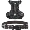 Frisco Outdoor Premium Ripstop Nylon Dog Harness With Pocket & Frisco Outdoor Nylon Reflective Comfort Padded Dog Collar 1 Frisco Outdoor Premium Ripstop Nylon Dog Harness With Pocket & Frisco Outdoor Nylon Reflective Comfort Padded Dog Collar -Frisco 319304 MAIN. AC SS1800 V1631144496
