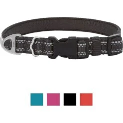 Frisco Outdoor Premium Ripstop Nylon Dog Harness With Pocket & Frisco Outdoor Nylon Reflective Comfort Padded Dog Collar 16 Frisco Outdoor Premium Ripstop Nylon Dog Harness With Pocket & Frisco Outdoor Nylon Reflective Comfort Padded Dog Collar -Frisco 319304 PT5. AC SS1800 V1631139692