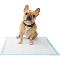 Frisco Training Pad Holder & Frisco Premium Dog Training & Potty Pads 19 Frisco Training Pad Holder & Frisco Premium Dog Training & Potty Pads -Frisco 319526 PT8. AC SS1800 V1630628180