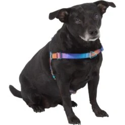 Frisco Purple Ombre Style Dog Harness 9 Frisco Purple Ombre Style Dog Harness -Frisco 324526 PT2. AC SS1800 V1642519692