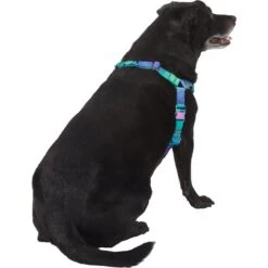 Frisco Green Ombre Style Dog Harness 10 Frisco Green Ombre Style Dog Harness -Frisco 324531 PT3. AC SS1800 V1642518631