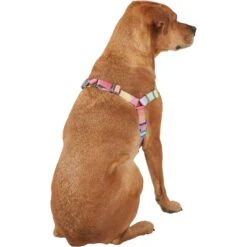 Frisco Pink Ombre Style Dog Harness 10 Frisco Pink Ombre Style Dog Harness -Frisco 324537 PT3. AC SS1800 V1642519146